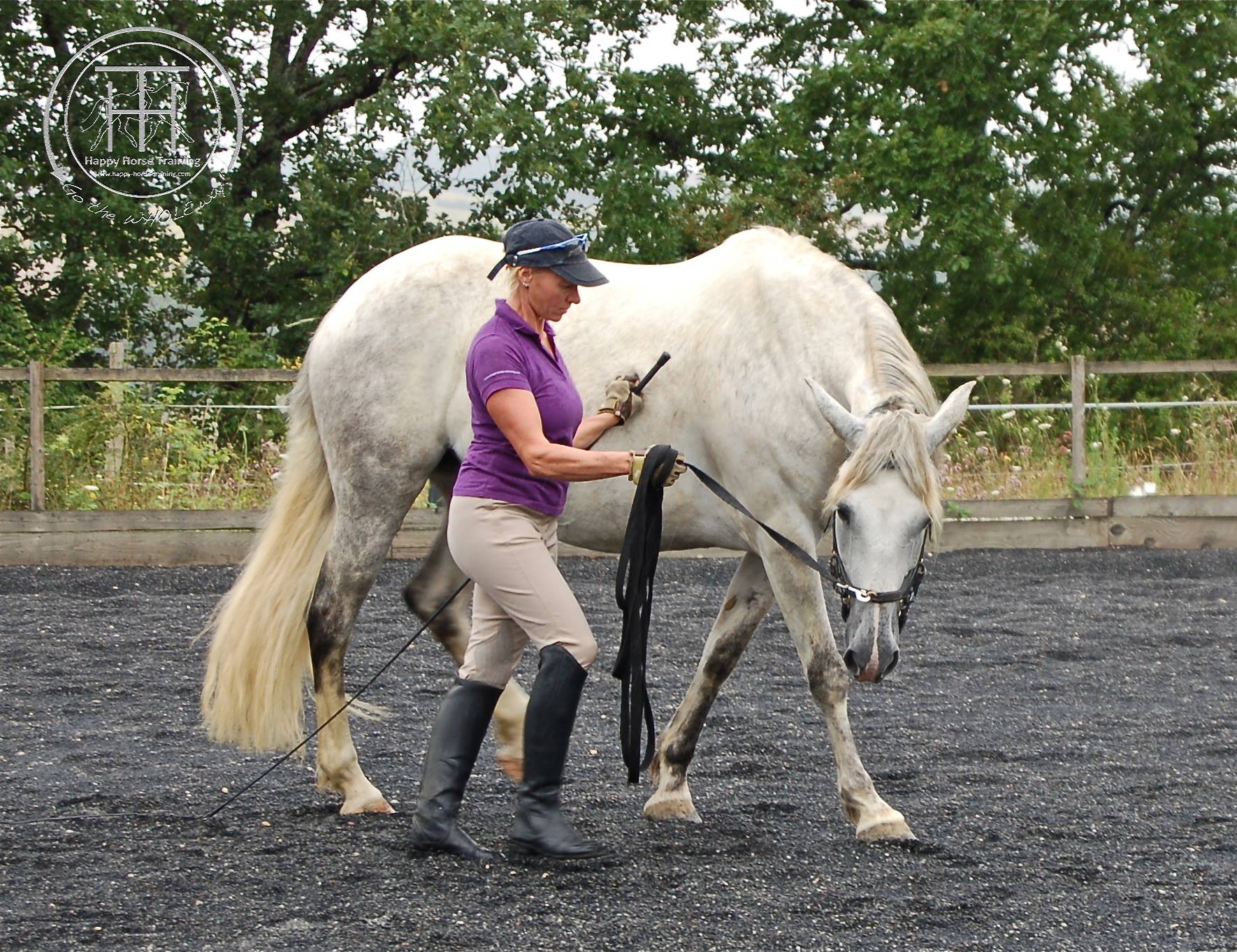 The Happy Horse Training Blog