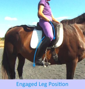 AudioRide A Riding Instructor In Your Pocket!