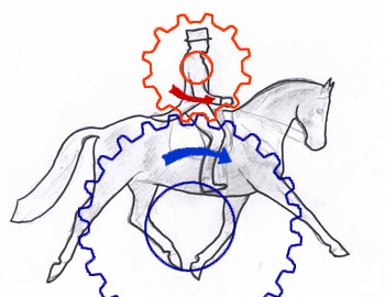 horse and rider cogs dynamic