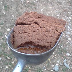 copra coconut meal for horses