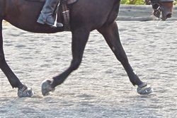 Heel-first landing in hoof boots