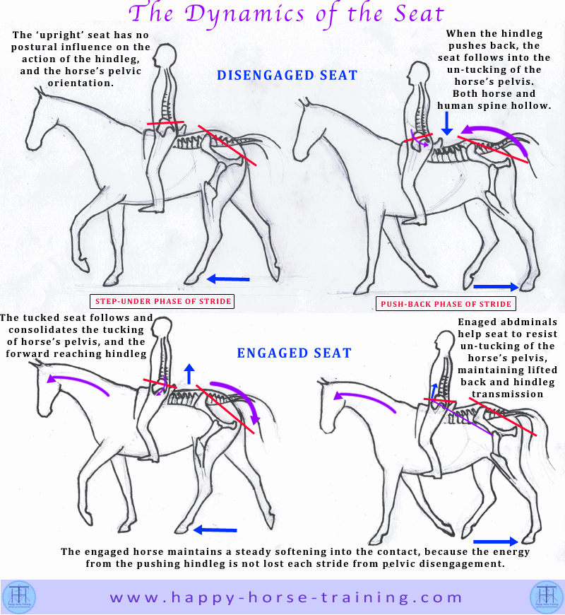 Seat Dynamics