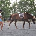 suppleness in different horses