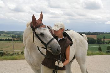 happy horse after work