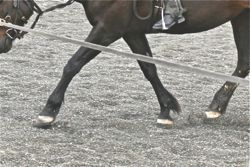 Renegade Pro-Comp Glue-On Hoof Boots - Horse Boots