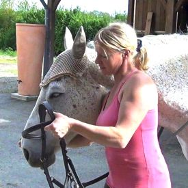 how to bridle a horse: step 2