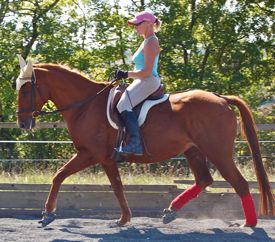 Horse using the same ring of engagement under saddle as in correct lunging