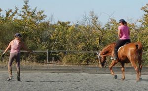 A well trained lunge horse is indispensible for good teaching on the lunge