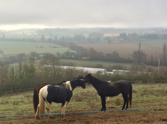 New Beginnings And Moving Forward In 2017 New Beginnings And Moving Forward In 2017