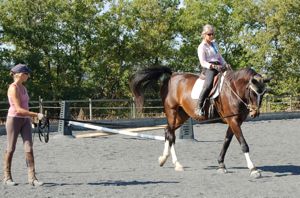 Pilates for riders: lunge lessons