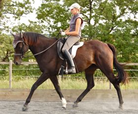 Pilates for riding: independent seat