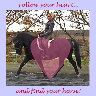 HHT e-Book How To Train A Horse Without Force Pt. 1 HHT e-Book How To Train A Horse Without Force Pt. 1