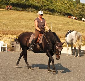 rider communication loose walk