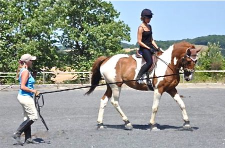 riding instruction on the lunge at Happy Horse Training