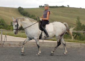 dressage correct higher head carriage