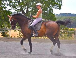 correct suppleness in dressage