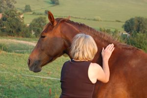 monty roberts join up process touching