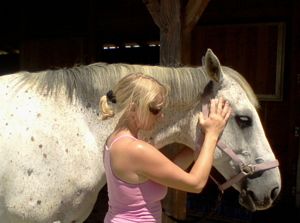 Craniosacral Therapy for horses
