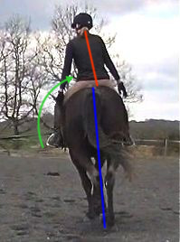 ultimate dressage solution: postural straightness