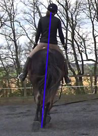 ultimate dressage solution: postural straightness