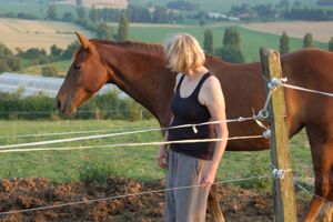 monty roberts join up process waiting