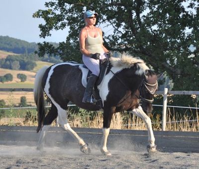 Amy engaged trot Amy engaged trot