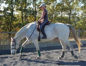 working after dummy foal syndrome