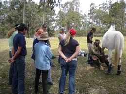 barefoot horse clinic