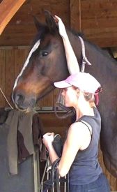 bridle problems from bad early handling