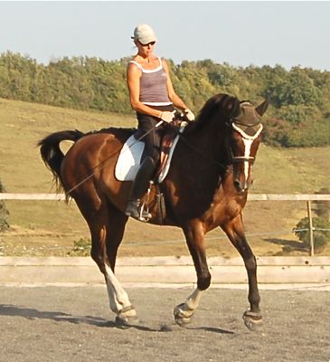 dressage saddles for balanced riding