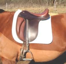 dressage saddles: stirrup bar position