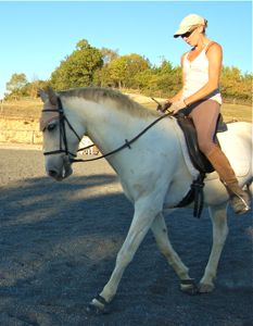 Dressage training tips: yeilding the outside rein to check straightness