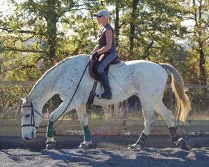 dressage training tips: frequent rest periods on a loose rein