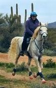 endurance horse in Renegade hoof boots