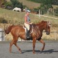 suppleness in different horses