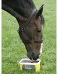 molasses-based lick for horses: high sugar alert!