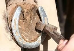 farrier pulling shoes