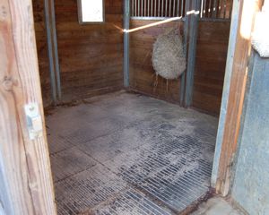 fieldguard horse rubber mats in stable, no bedding