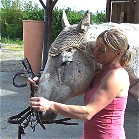how to bridle a horse: step 3