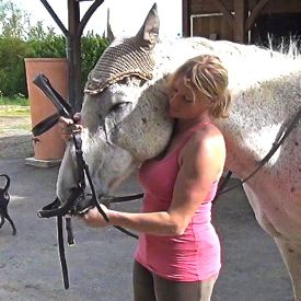 how to bridle a horse: step 4