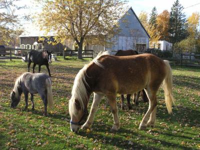 Johann & friends