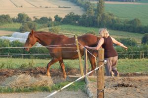 defiance of monty roberts join up