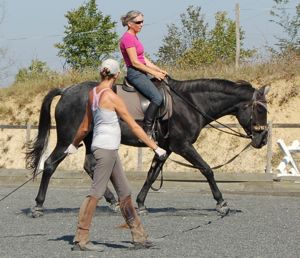 lunge lessons for rider fitness