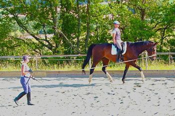 training the rider lunge work