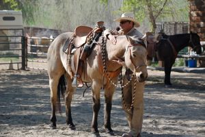 Mark Rashid with horse