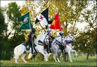 natural horse training european tradition