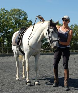 good riding makes an aggressive horse calm and friendly