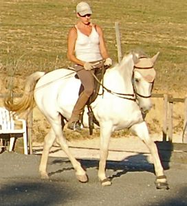 strength in engagement allowing higher head-carriage