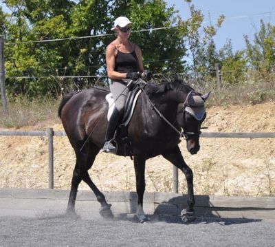 real dressage riding: odette trot longside