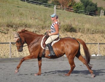 posture riding engagement canter